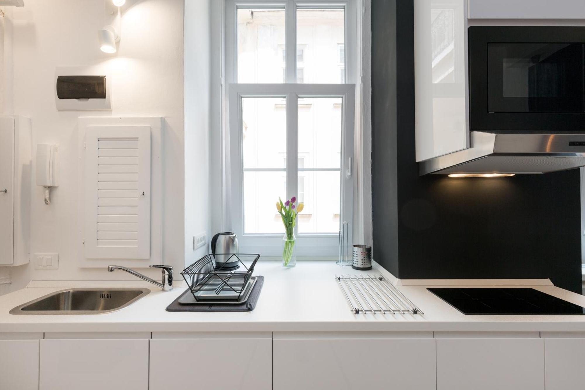 Apartment Lazar Opera House *