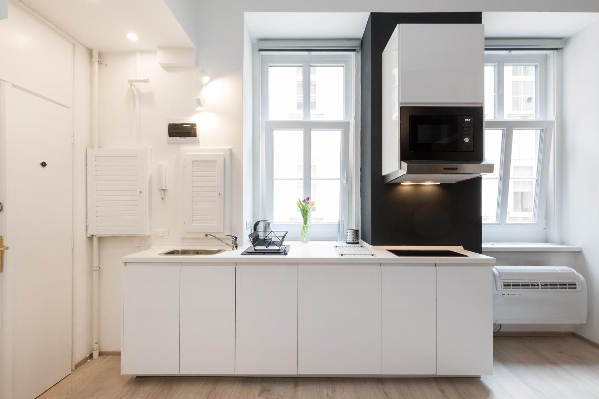 Apartment Lazar Opera House